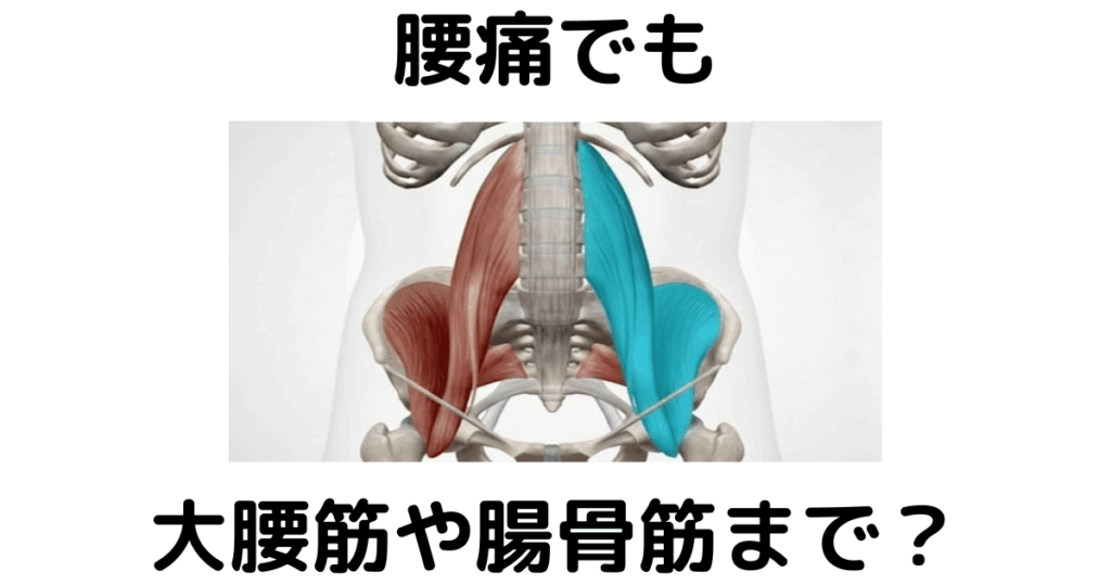 近江八幡市の全身整体つきひ　腰痛改善　腰痛でも大腰筋や腸骨筋まで？