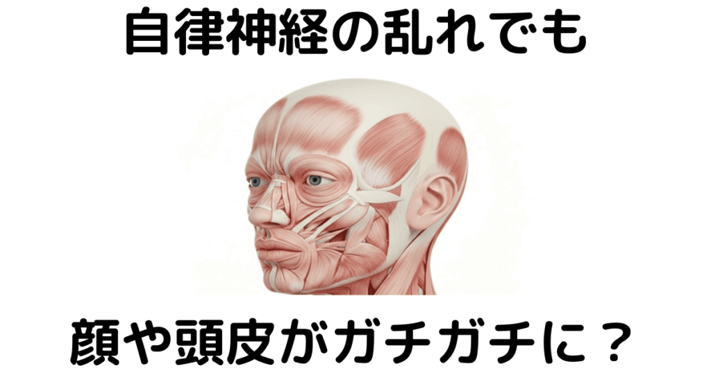 近江八幡市の全身整体つきひ　自律神経の乱れ　自律神経の乱れでも顔や頭皮がガチガチに？