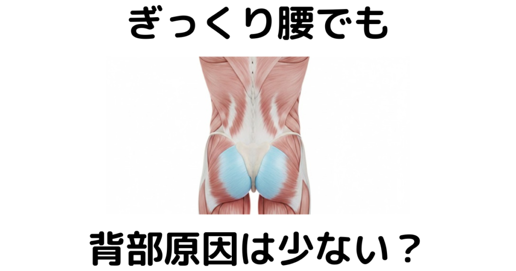 近江八幡市の全身整体つきひ ぎっくり腰改善 ぎっくr腰でも背部原因は少ない?