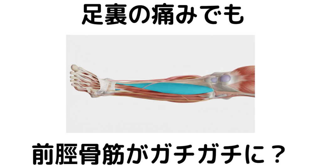 近江八幡市の全身整体つきひ 足裏痛改善 足裏の痛みでも前脛骨筋がガチガチに?