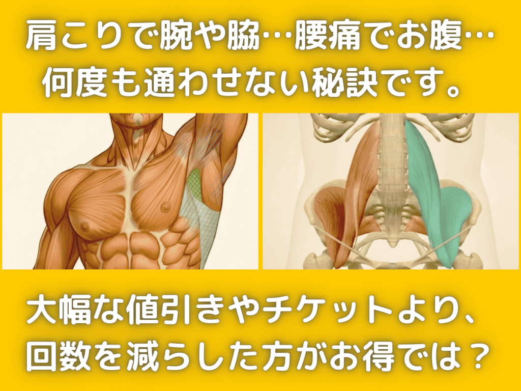 近江八幡市の全身整体つきひ　メインビジュアル　肩こりで腕や脇…腰痛でお腹…何度も通わせない秘訣です。大幅な値引きやチケットより、回数を減らした方がお得では？