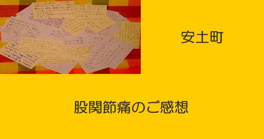近江八幡市の全身整体つきひ　安土町　股関節痛のご感想